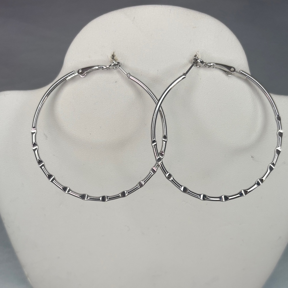 Elegant Silver Hoop Earrings